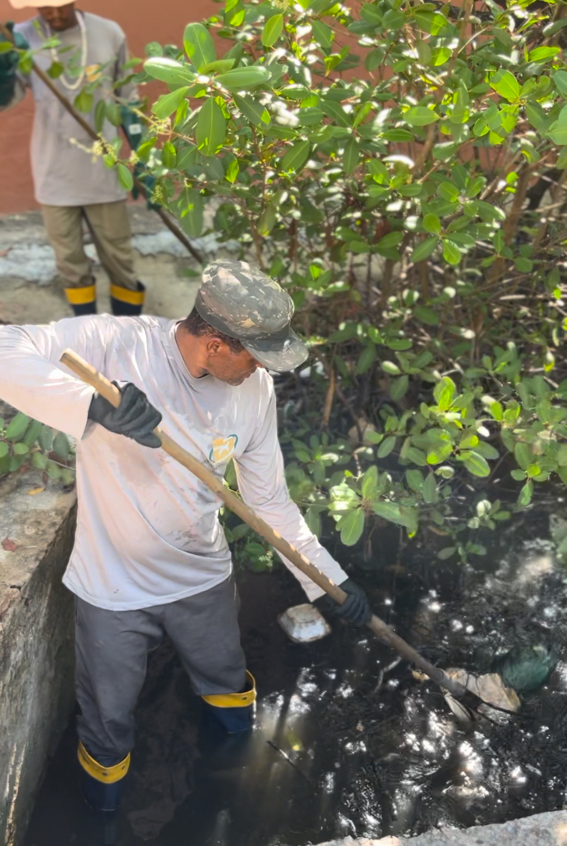 Dinâmica mutirões de limpeza em Marechal 2