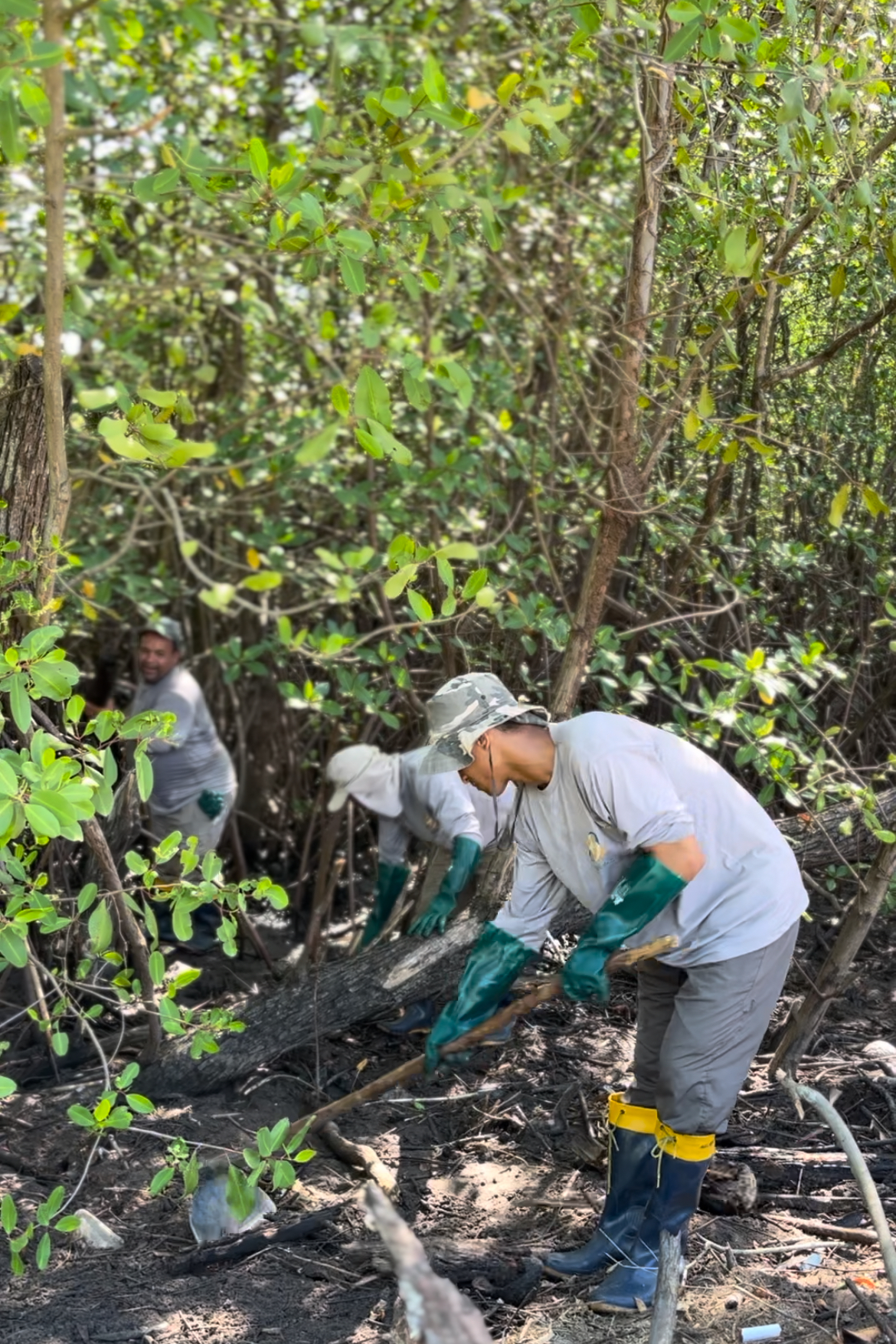Dinâmica mutirões de limpeza em Marechal 3