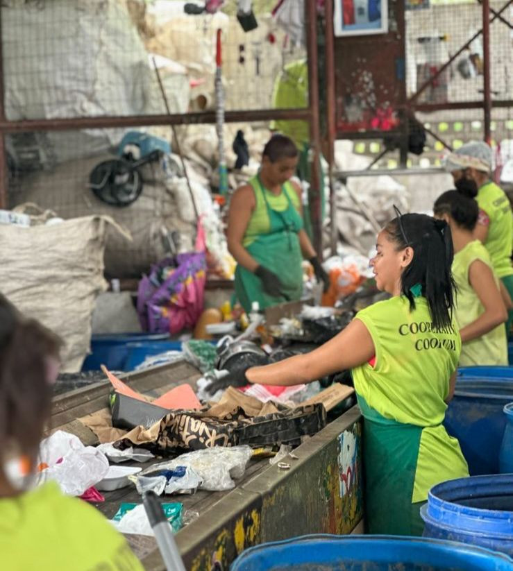 No Dia do Meio Ambiente e da Reciclagem, cooperativas ganham destaque por atuação socioambiental