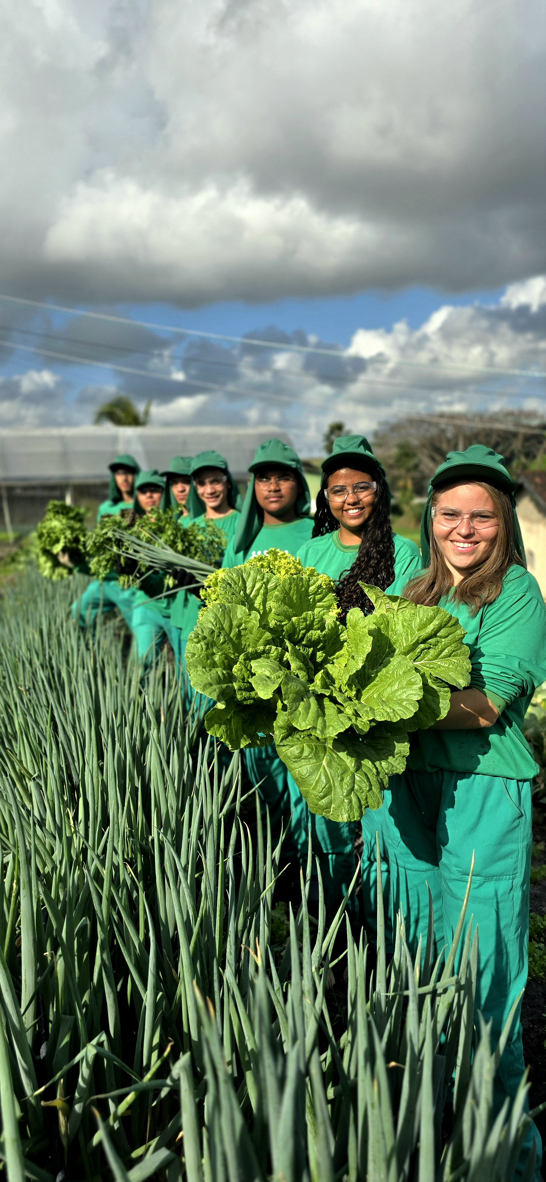 Cooperativas Agropecuárias 3